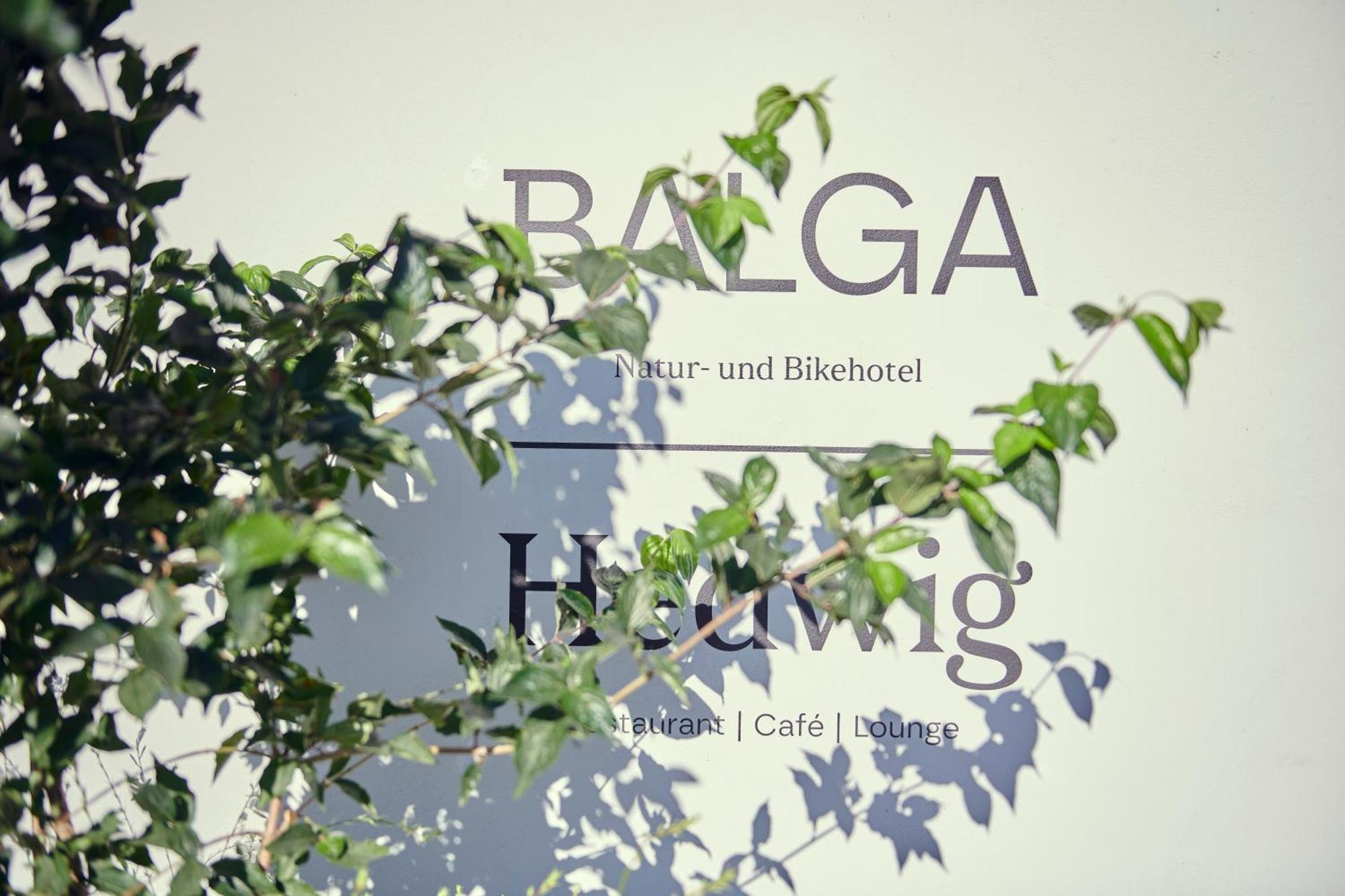 Hotel Balga Natur- Und Bikehotel Balgach 外观 照片