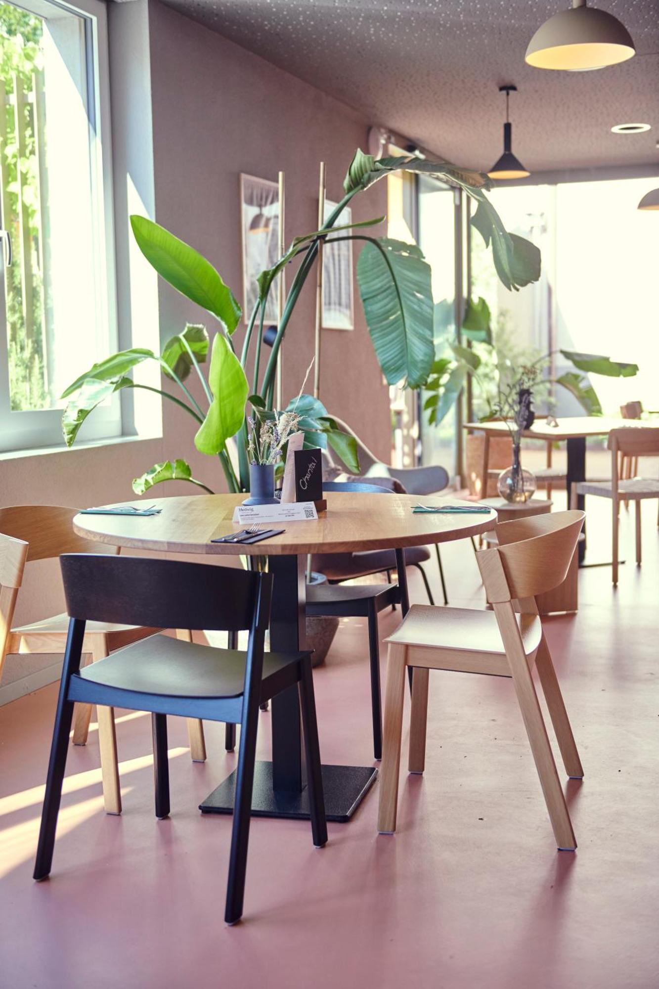 Hotel Balga Natur- Und Bikehotel Balgach 外观 照片